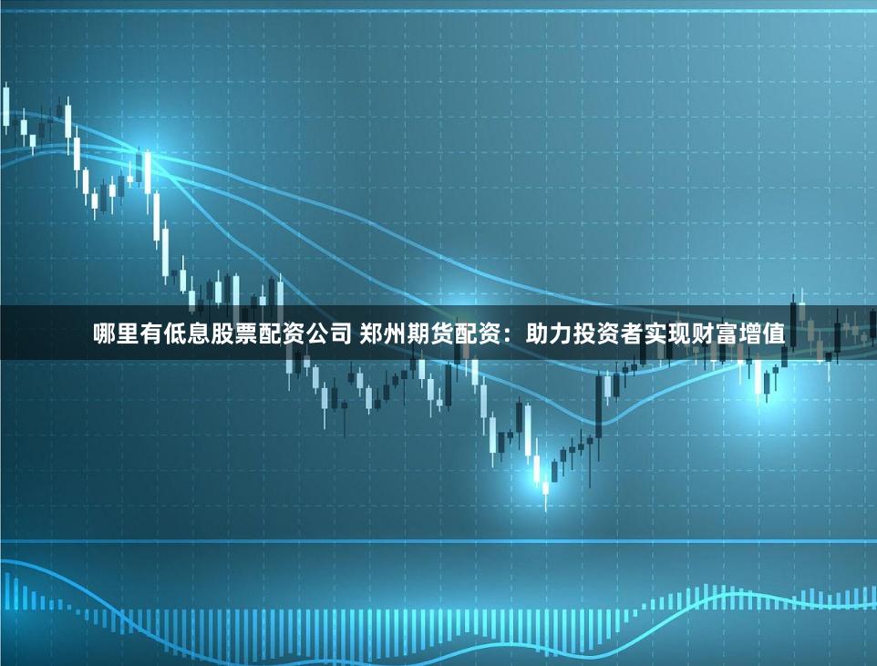 哪里有低息股票配资公司 郑州期货配资：助力投资者实现财富增值