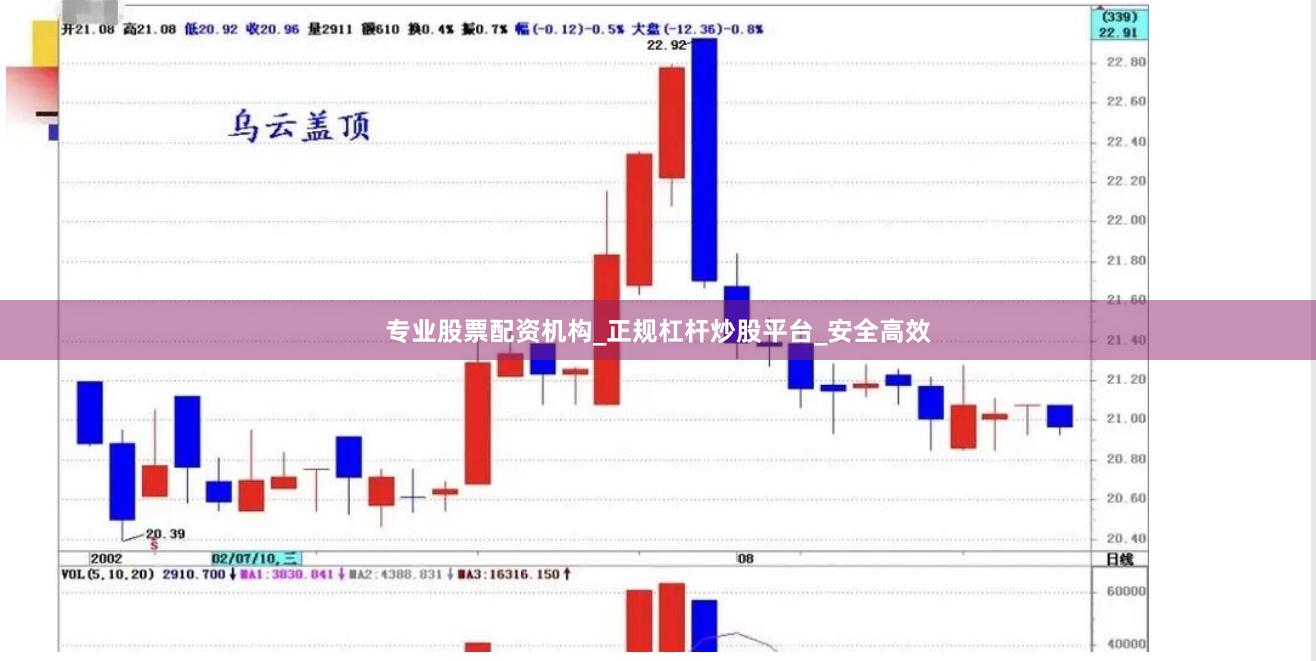 专业股票配资机构_正规杠杆炒股平台_安全高效